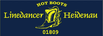 Hot Boots 01809